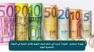 يورو 8 سبتمبر.. تغيرات جديدة في سعر صرف اليورو مقابل الجنيه في البنوك المصرية اليوم